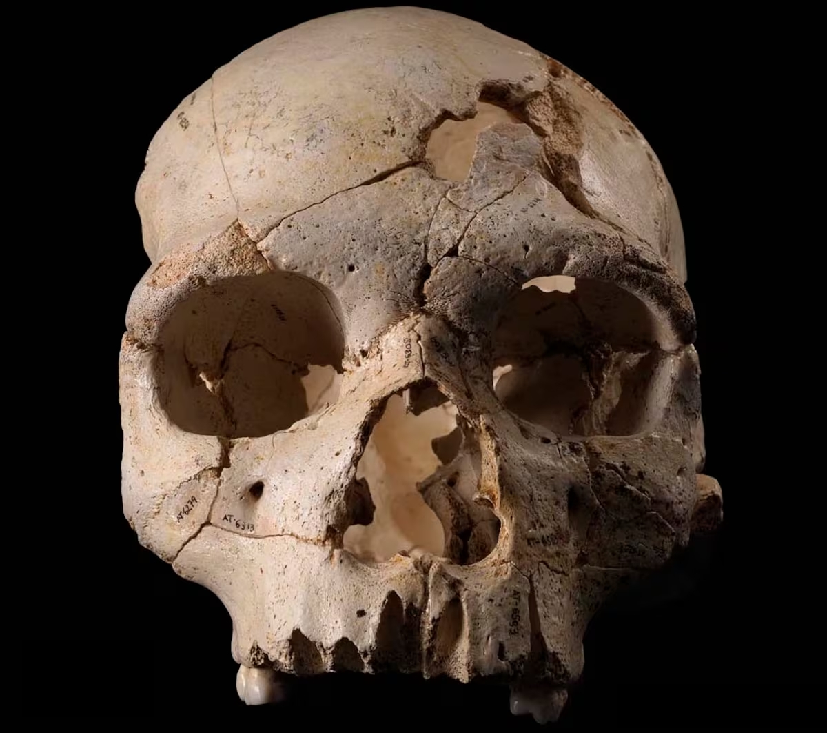 The Pit of Bones: Humanity’s First Murder Scene