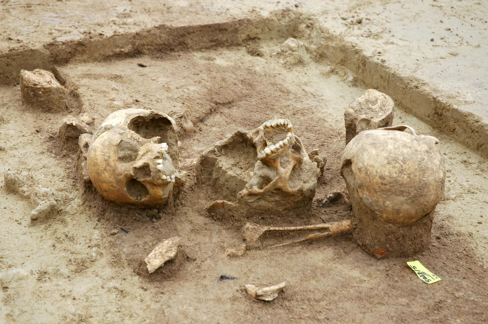 The Cannibal Village of Herxheim: Brutal Secrets of Prehistoric Sacrifice