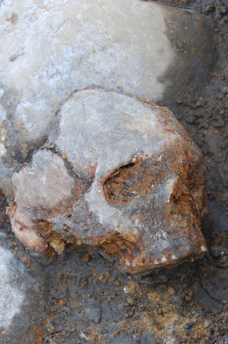 ancient skull excavated in sweden