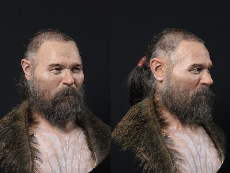 reconstruction of face of a man from mounted heads site in sweden