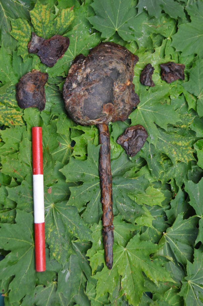 example of mounted heads skull in sweden