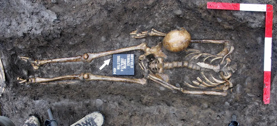 The Headless Gladiators of York: Death in the Arena, Secrets in the Grave