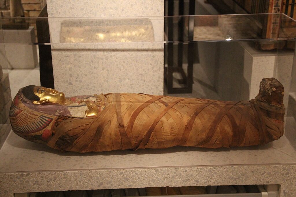 ancient egyptian mummy 