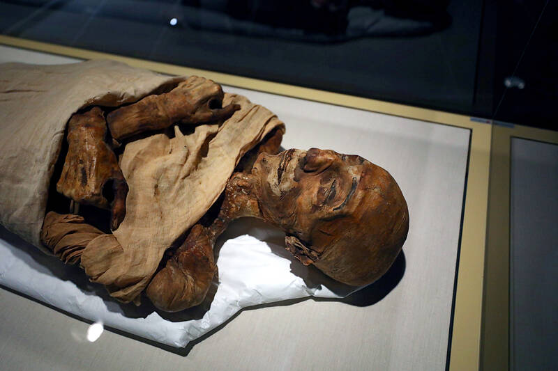 the mummy of merenptah
