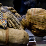 egyptian mummy preserved