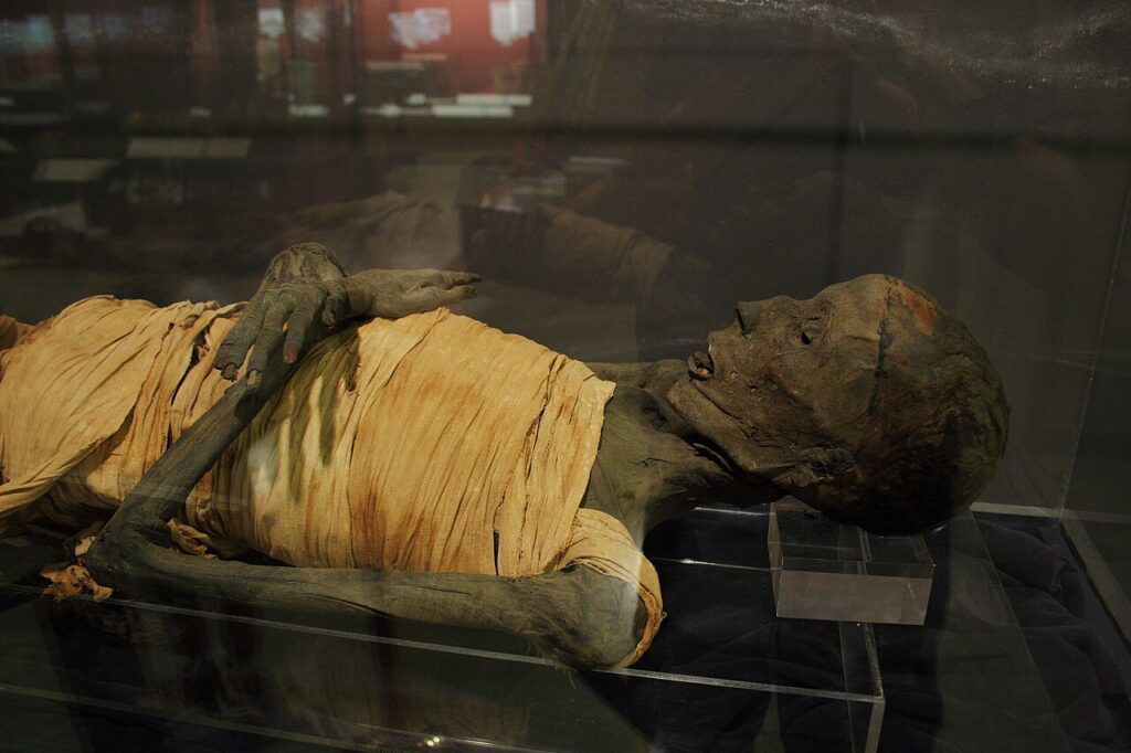 ancient egypt mummy museum